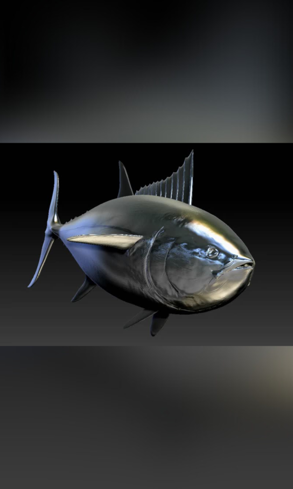 【預定】須彌 海洋系列 太平洋藍鰭 黃鰭 南方藍鰭 長鰭 