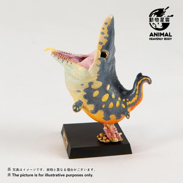 【預定】動物星雲 圓古生物 第五彈薄片龍，滄龍，滑齒龍（限時預定全套3只贈送特典） 