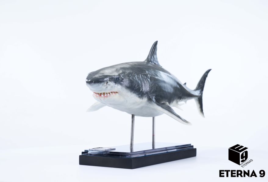 【預定】E9 海洋生物系列系列 鯊魚 靜態 