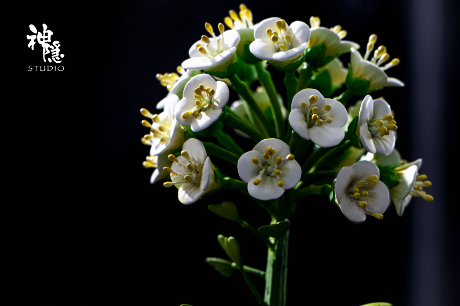 【預定】神隱 遇見系列 借物少女仰望世界的瞬間 