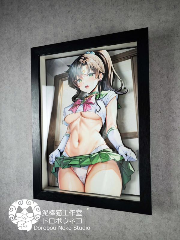 【海外代購】泥棒貓 DSMG-027 美少女戰士 木野真琴 可月兌立體畫 
