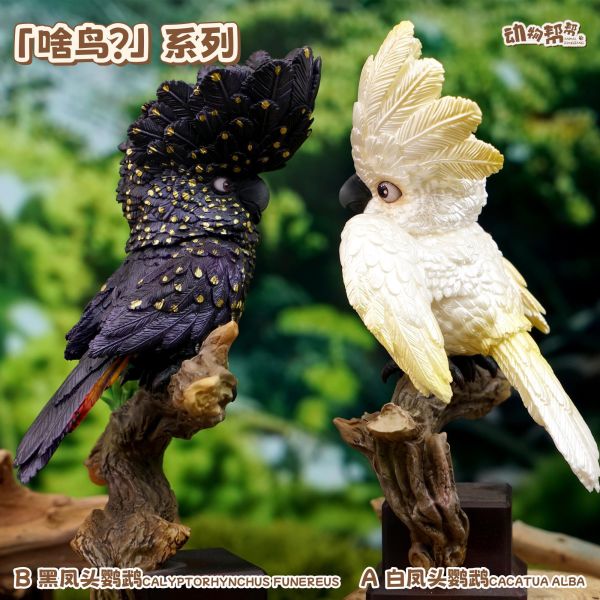 【海外代購】傑刻動漫 動物幫農場 啥鳥？系列第六彈 白鳳頭&黑鳳頭鸚鵡 