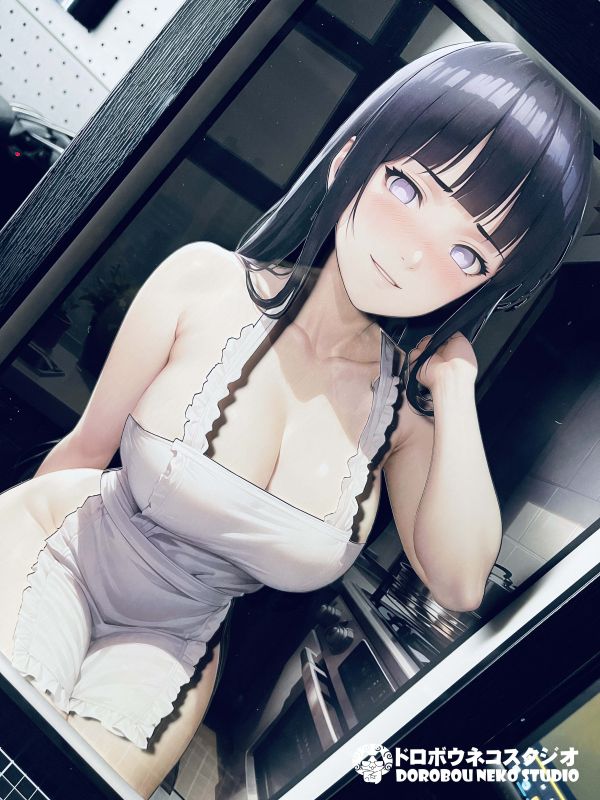 【海外代購】泥棒貓 DSMG-069 日向雛田 立體裝飾畫 