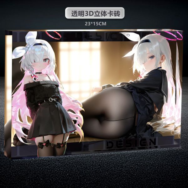 【海外代購】阿喵畫社 普拉娜透明卡磚 1.9cm厚大號雙層透明收藏展示磚 