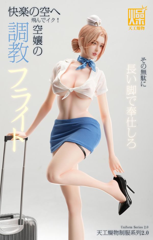 【預定】天工燥物 2.0系列 《空服員2.0》 
