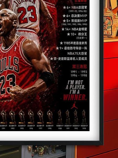 【海外代購】巴洛克 《數據喬丹》MJ邁克爾喬丹庫里科比詹姆斯公牛隊裝飾畫冰箱貼 