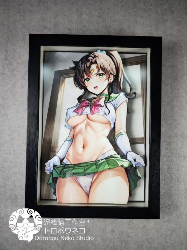 【海外代購】泥棒貓 DSMG-027 美少女戰士 木野真琴 可月兌立體畫 