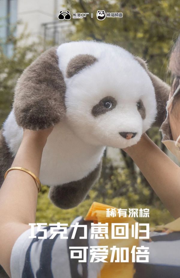 【海外代購】【50CM】品牌熊貓工廠 3月齡熊貓 多款 