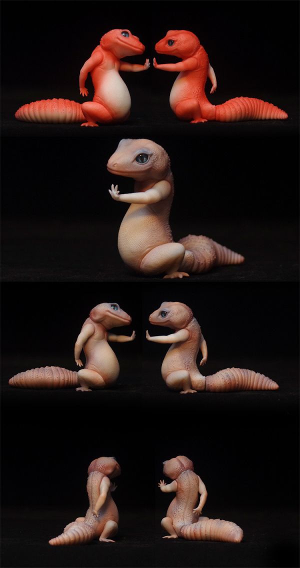 【預定】COR 原創動物系列 龍傲天 肥尾守宮 