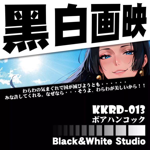 【海外代購】黑白畫映 B&W 波雅漢庫克 海賊王系列立體裝飾畫 