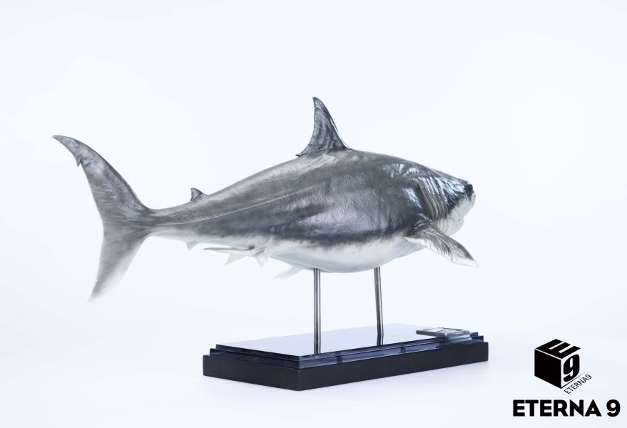 【預定】E9 海洋生物系列系列 鯊魚 靜態 