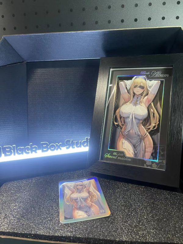 【海外代購】黑盒子 Black Box BA-010 劍之聖女 立體相框 