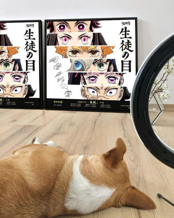 【海外代購】千鳥社 《鬼滅之刃-生徒 目》鬼滅之刃無限城簽名裝飾畫 