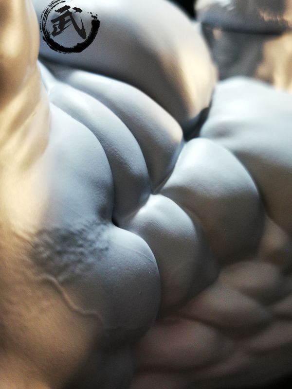 【已截單/代購洽客服】KOKOSHI 武道家 THE LAST FANTASY 最終摯愛版 