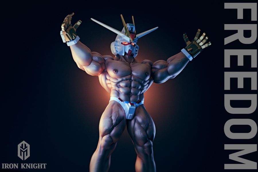 【R18-預定】鐵騎士 IRON KNIGHT 第二彈 自由戰士 