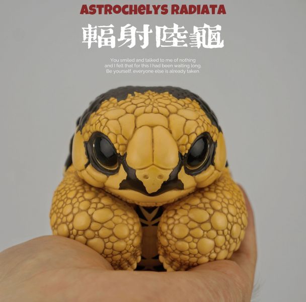 【預定】博物誌原廠 2025噸噸動物園龜6彈 