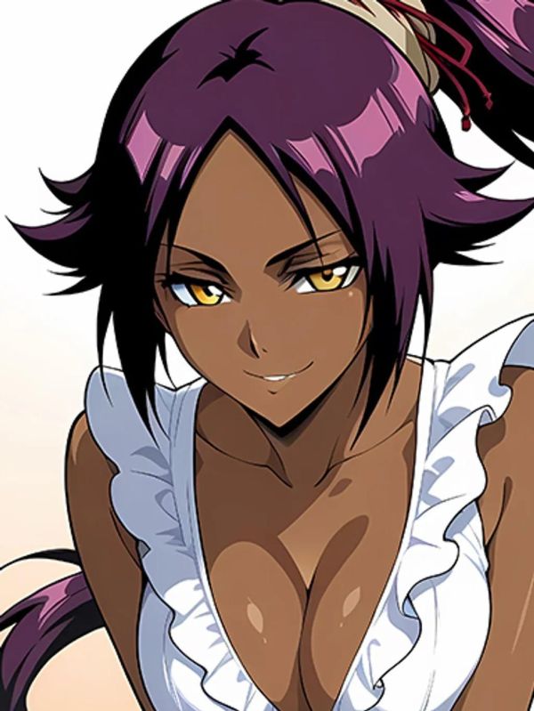 【海外代購】巴洛克  《夜一》瞬神護庭十三隊死神境·界虛十刃裝飾畫冰箱貼 