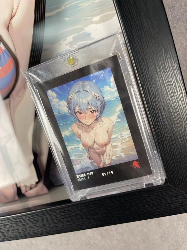 【海外代購】泥棒貓 DSMG-049 EVA 綾波麗 立體裝飾畫 