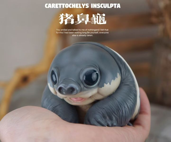 【海外代購】博物志 2024噸動噸物園龜2 第2彈 鷹龜嘴和豬鼻龜 