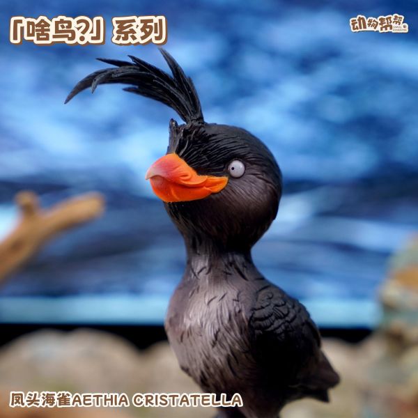 【海外代購】傑刻動漫 動物幫幫農場 啥鳥？ 系列第八彈 鳳頭海雀 