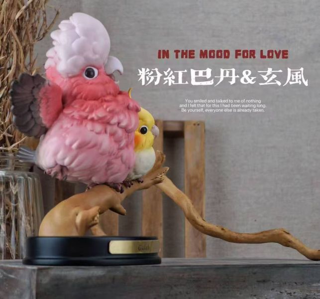 【預定】博物誌 特別版群鸚薈萃 