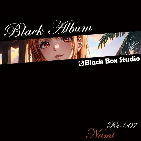【海外代購】黑盒子 Black Box 海賊王 BA-007 娜美 立體相框 