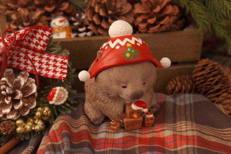 【預定】博物誌 2025聖誕節限定藏狐藍腳鳥灰鸚鵡巨人守宮河馬袋熊 