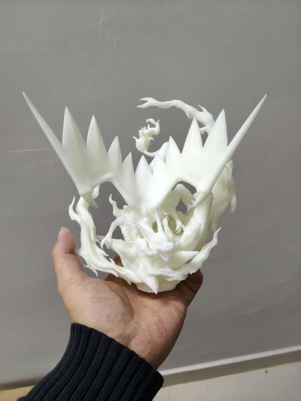 【預定】ZR x噴火龍 