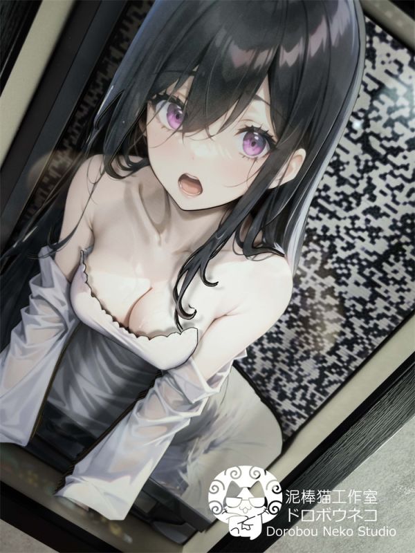 【海外代購】泥棒貓 DSMG-023 山村貞子 可月兌立體畫01 