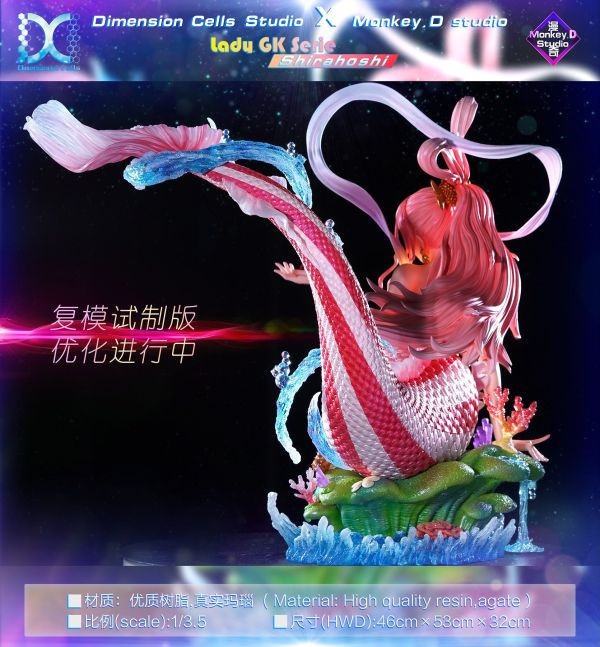 【預定】DC Dimension Cells 白星 當海王遇見上海賊王 