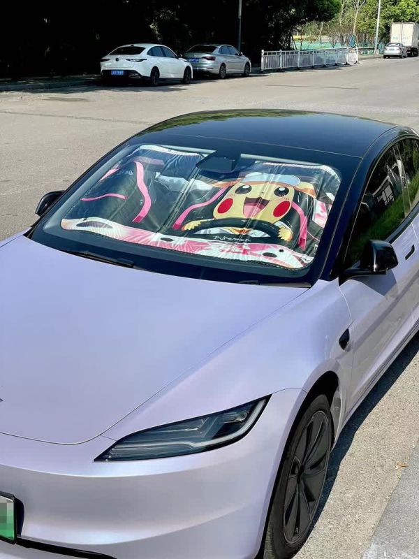 【海外代購】千鳥社 寶可夢 皮卡丘可愛二次元汽車遮陽隔熱膜 