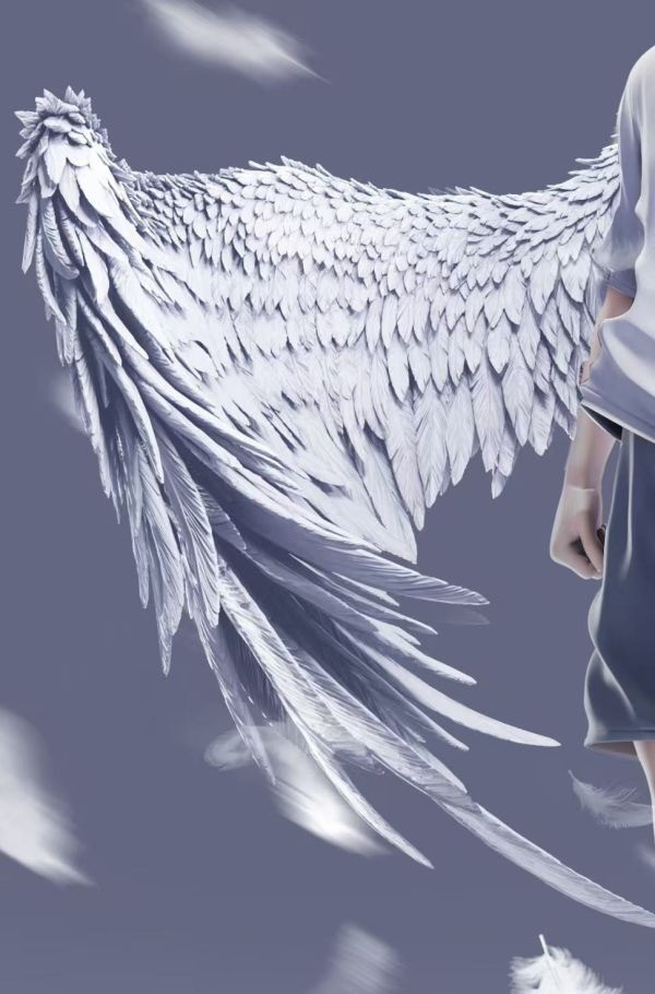 【海外現貨】Aurora 小天使系列 奇犽 