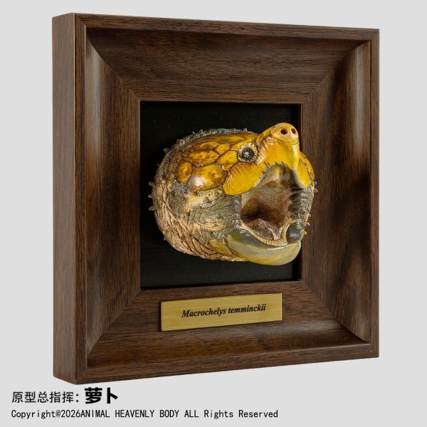 【預定】動物星雲 《框爬藝術展》系列 第1彈 