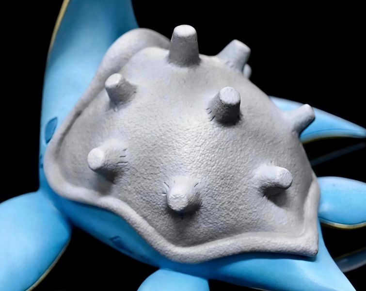 【預定】方糖 拉普拉斯（乘龍） 