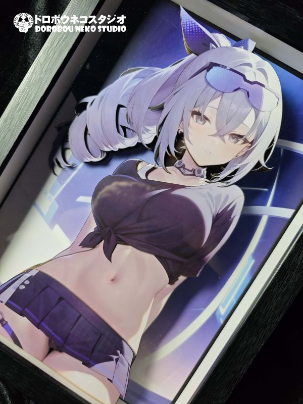 【海外代購】泥棒貓 DSRL-025 銀狼 立體裝飾畫 