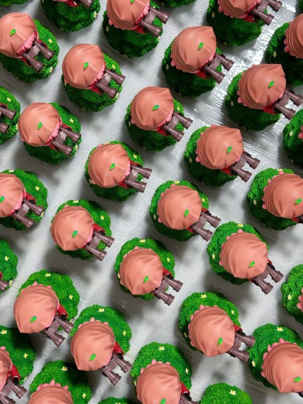 『海外代購』WAKUWAKU 偷窺的阿尼亞 