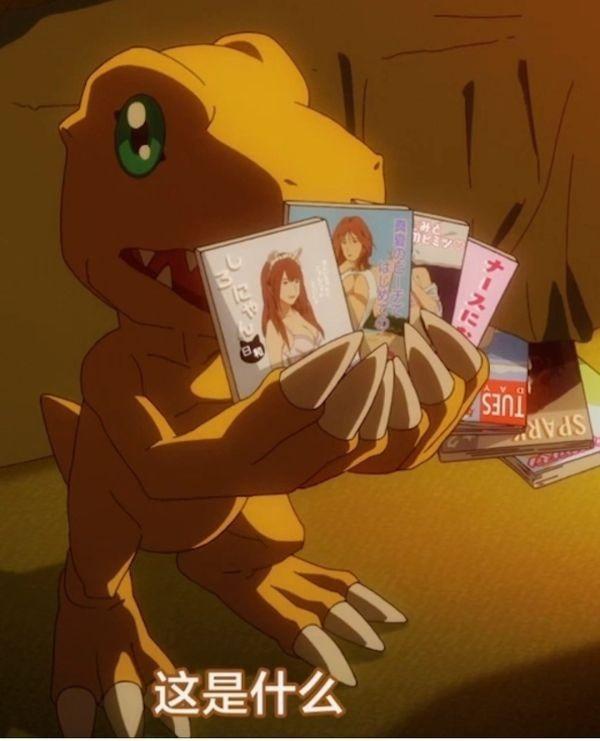 【海外代購】獨角獸 亞古獸家族 牌佬亞古獸 