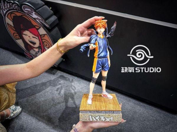 【海外代購】缺氧 運動篇 排球少年第一彈 日向翔陽 