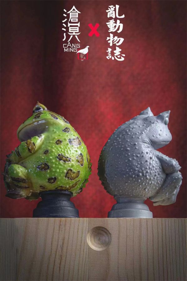 【預定】滄溟 角蛙與蝌蚪 