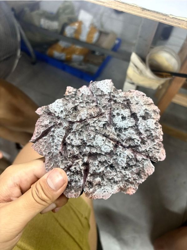【預定】覺醒 扛旗魯夫 