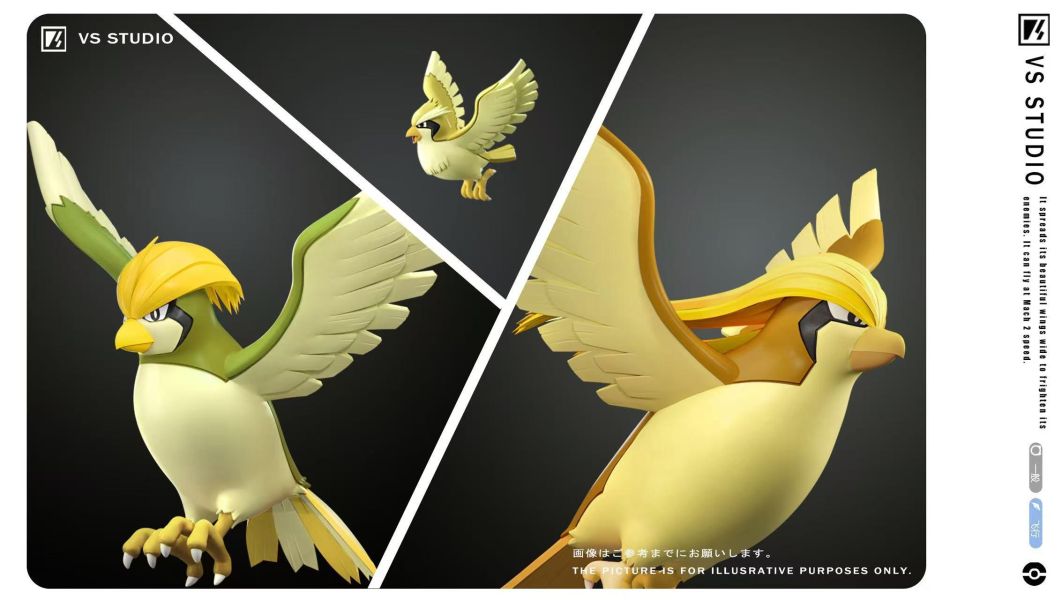 【預定】VS 比雕進化組－原色／異色＆比雕生態地台 寶可夢（Pokémon） 
