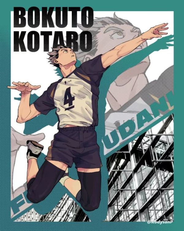 【已截單/代購洽客服】HIKARI 木兔 光太郎 