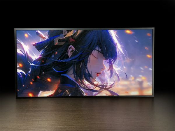 【海外代購】萌萌匠 雷電將軍 導燈 裝飾畫 二次元 