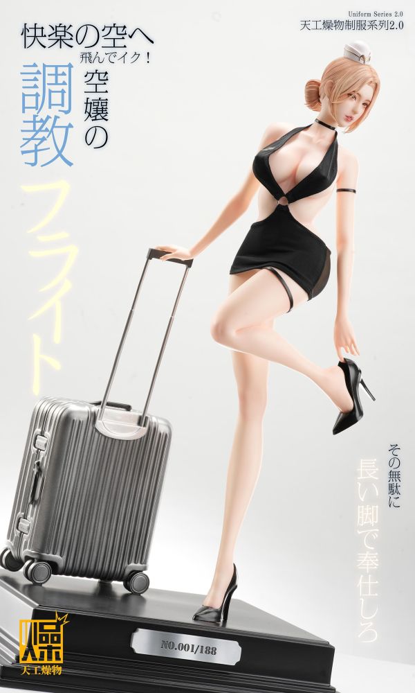 【預定】天工燥物 2.0系列 《空服員2.0》 