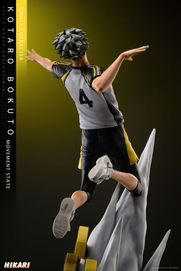 【已截單/代購洽客服】HIKARI 木兔 光太郎 