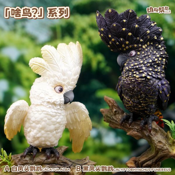 【海外代購】傑刻動漫 動物幫農場 啥鳥？系列第六彈 白鳳頭&黑鳳頭鸚鵡 