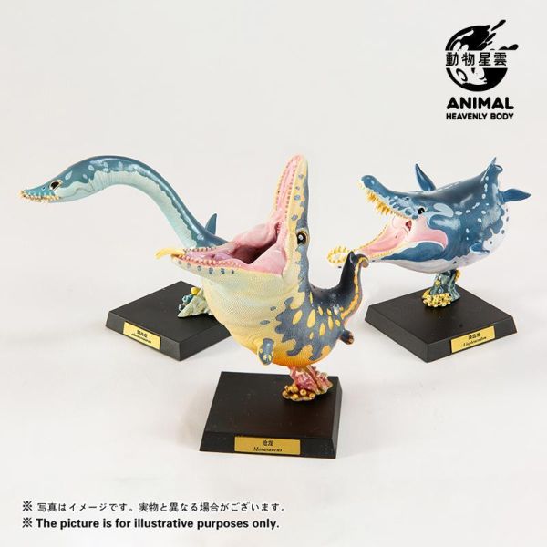 【預定】動物星雲 圓古生物 第五彈薄片龍，滄龍，滑齒龍（限時預定全套3只贈送特典） 