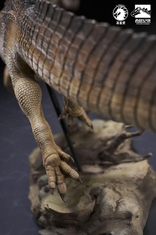 【預定】萬蘢堂 岩層紀錄系列 1/35埃及棘龍PVC手辦科學棘龍 