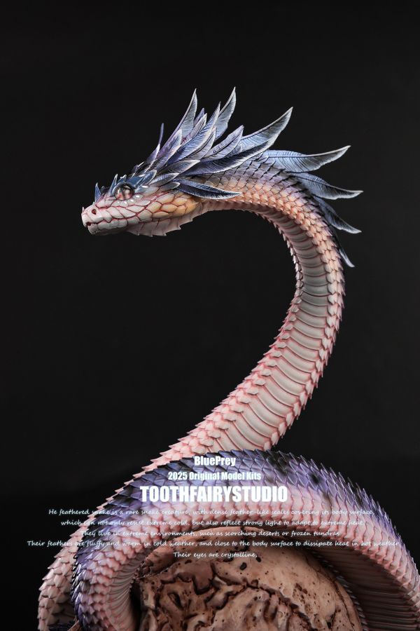 【預留請洽客服】ToothFairy 牙仙 羽王蝰 晨昏編織者·普雷 