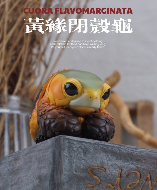 【預定】博物志 2025噸噸動物園龜4 蘇卡達／黃緣 
